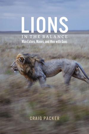 Cover of the book Lions in the Balance by Mark Halliday