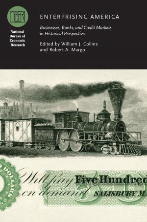 Cover of the book Enterprising America by Glen H. Elder, Rand D. Conger