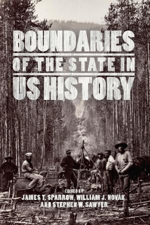 Cover of the book Boundaries of the State in US History by Friedrich Dürrenmatt
