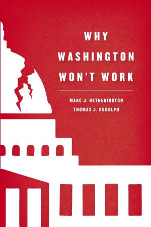 Cover of the book Why Washington Won't Work by Robert van Gulik