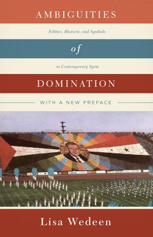 Cover of the book Ambiguities of Domination by Terence E. McDonnell