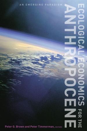 Cover of the book Ecological Economics for the Anthropocene by JaHyun Kim Haboush