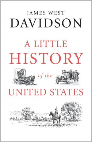 Book cover of A Little History of the United States