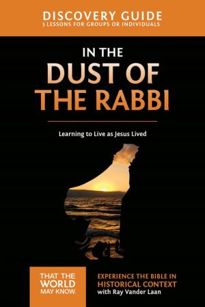 Book cover of In the Dust of the Rabbi Discovery Guide