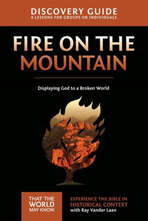 Cover of the book Fire on the Mountain Discovery Guide by Max McLean, Warren Bird