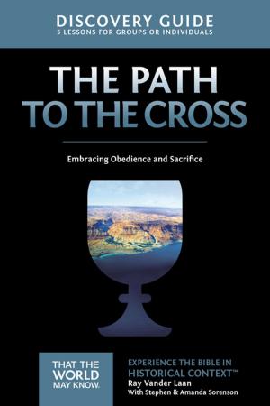 Cover of the book The Path to the Cross Discovery Guide by Kevin Johnson