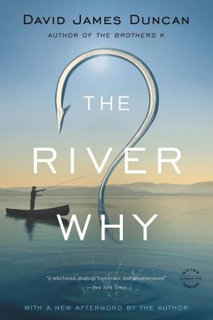 Book cover of The River Why