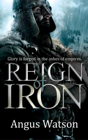 Cover of the book Reign of Iron by RJ Barker