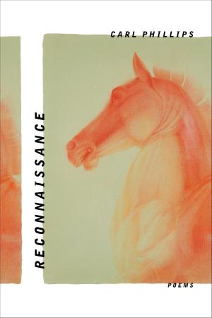 Cover of the book Reconnaissance by Sigrid Nunez