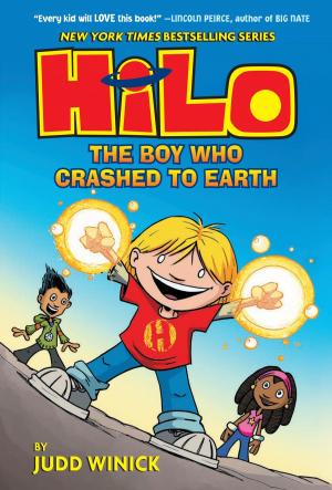 Cover of the book Hilo Book 1: The Boy Who Crashed to Earth by Susan Maupin Schmid