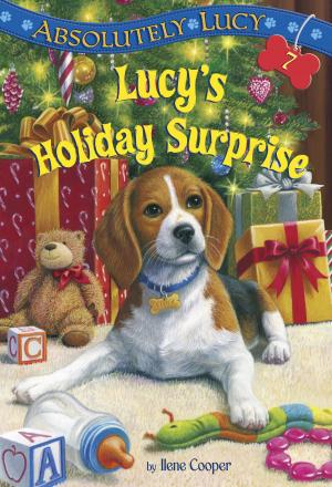 Cover of the book Absolutely Lucy #7: Lucy's Holiday Surprise by James T. de Kay