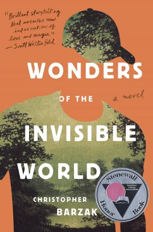 Cover of the book Wonders of the Invisible World by Isobelle Carmody