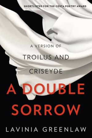 Cover of the book A Double Sorrow: A Version of Troilus and Criseyde by David Ignatius