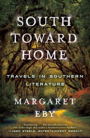 Cover of the book South Toward Home: Travels in Southern Literature by Fabio Paone, Massimo Magazzù, Illustrazioni Di Francesco Magazzù