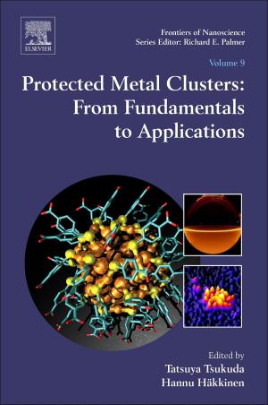 Cover of the book Protected Metal Clusters: From Fundamentals to Applications by Maurice Stewart