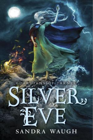 bigCover of the book Silver Eve by 