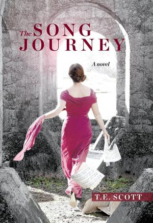 bigCover of the book The Song Journey by 