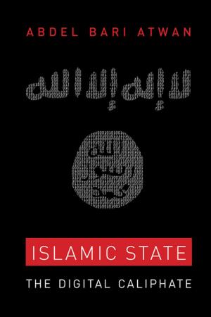 Cover of the book Islamic State by Scott Kurashige