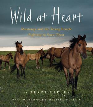 Cover of the book Wild at Heart by Nancy Kricorian