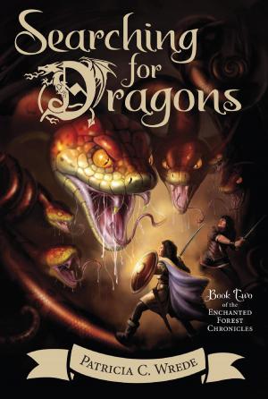 Cover of the book Searching for Dragons by Jean-Claude Féret