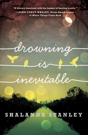 Cover of the book Drowning Is Inevitable by Bonnie Bryant