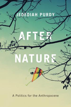 Book cover of After Nature