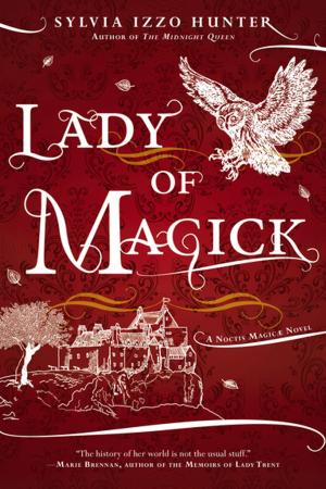 Cover of the book Lady of Magick by Lawrence O'Donnell