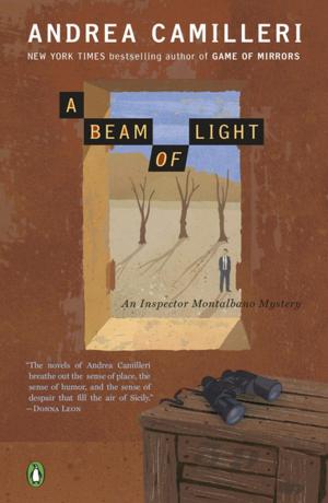 Cover of the book A Beam of Light by Raymond Khoury