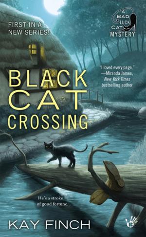 Book cover of Black Cat Crossing