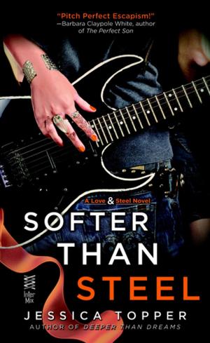 Cover of the book Softer Than Steel by Jake Logan
