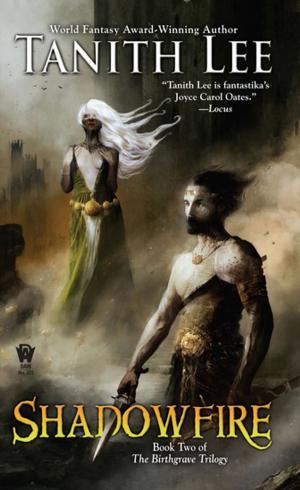 Cover of the book Shadowfire by Celia Jerome