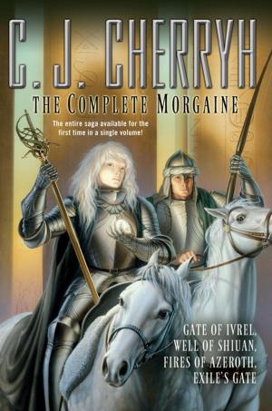 Cover of the book The Complete Morgaine by Jim C. Hines
