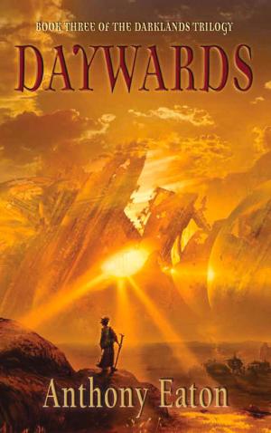 Cover of the book Daywards by Nikki McWatters