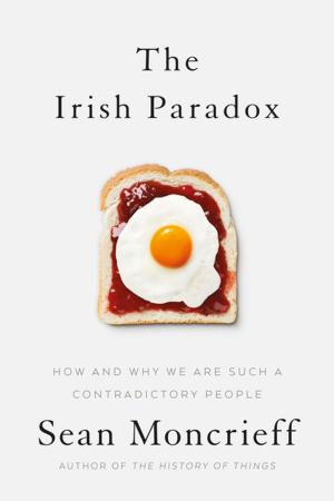 Book cover of The Irish Paradox