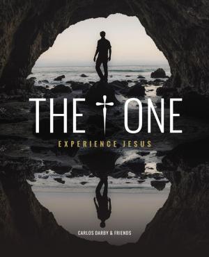 Cover of the book The One by Tammy Maltby