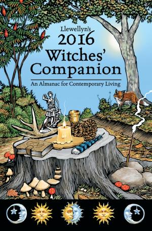 Book cover of Llewellyn's 2016 Witches' Companion