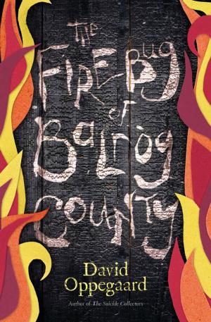 Cover of the book The Firebug of Balrog County by Stefanie Lyons