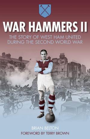 Book cover of War Hammers II