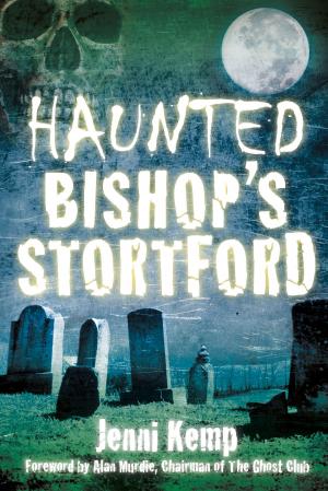 Cover of the book Haunted Bishop's Stortford by Michael Johnson