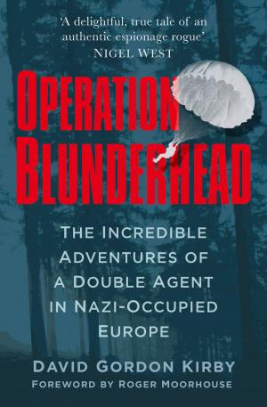 Cover of the book Operation Blunderhead by Stephen Cooper
