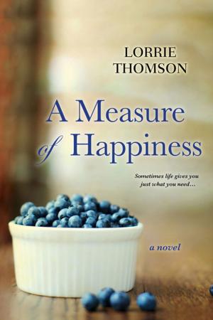 Cover of the book A Measure of Happiness by Brigid Kemmerer