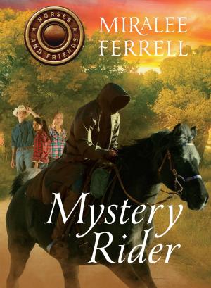 Cover of the book Mystery Rider by Lisa Pennington