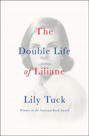 Cover of the book The Double Life of Liliane by Joe Studwell