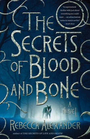 Cover of the book The Secrets of Blood and Bone by Jamie White