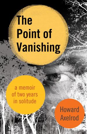 bigCover of the book The Point of Vanishing by 