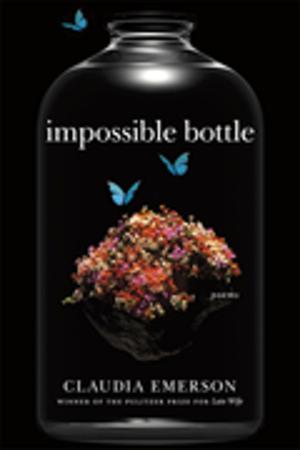 Cover of the book Impossible Bottle by Jefferson Davis