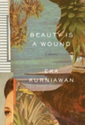 Cover of the book Beauty Is a Wound by Rosmarie Waldrop