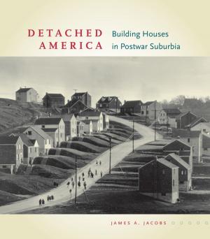Cover of the book Detached America by Martin Mulsow