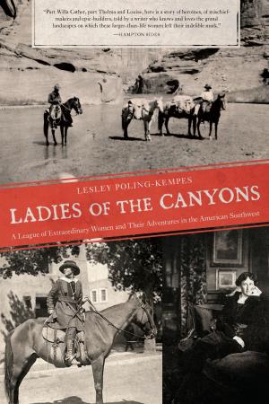 Cover of the book Ladies of the Canyons by Amanda Minks