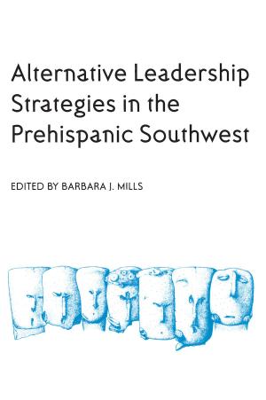 Cover of the book Alternative Leadership Strategies in the Prehispanic Southwest by Vinay R. Kamat